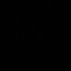 Meet your Posher, Noelia